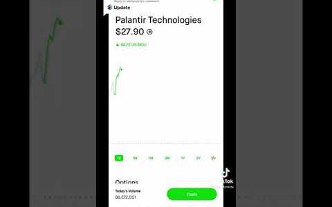 Palantir call option update