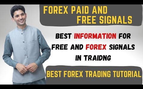Forex Paid and Free Signals | Tani Fx Signal app Trading tutorial in Urdu and Hindi For beginners