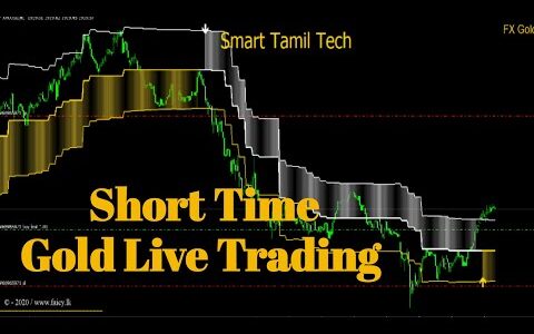 Gold Live Trading - Fx Gold Scalping Signal Indicator