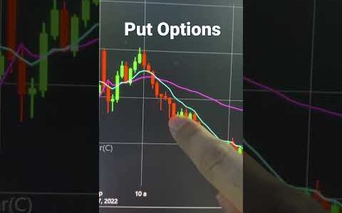 Trading TSLA Put Options
