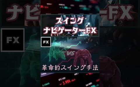 【ゴゴジャン注目商品ピックアップ】51544:スイングナビゲーターFX