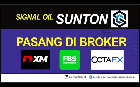 Signal Sunton Fx Dipasang XM FBS Octafx  Hasilnya Apa?