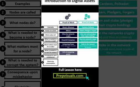 Cfa level 1- Introduction to Digital Assets ( Proof of Stake and Proof of Work)  level1