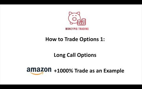 Beginner Options Trading 1: Long Call Options. $AMZN  1000% Trade as an Example 米株のオプション(英語)