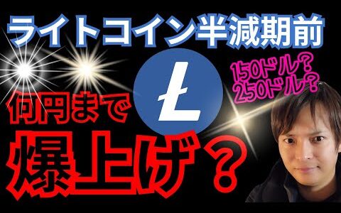 【ライトコイン】半減期前で好調！何円まで爆上げる？