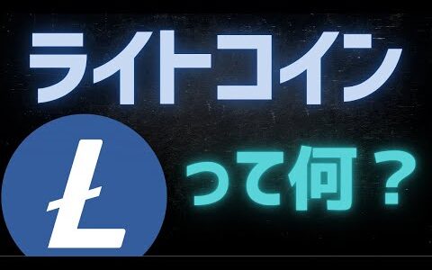 【弟分】ライトコインとは？基本・仕組みを解説 【LTC】