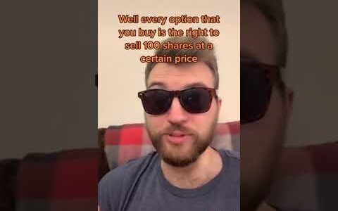 Oversimplified explanation of put options