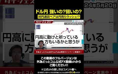 ドル円は強いのか弱いのか？対円通貨ペアは円売りラッシュ！？【為替相場分析】     2024/5/20（月）井上義教