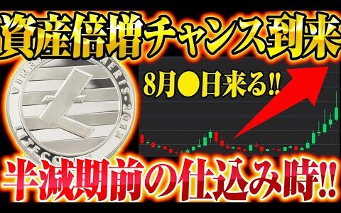 【LITECOIN（ライトコイン）】デジタルシルバー半減期確定!!今仕込んで億り人!!【仮想通貨】【初心者必見】【リップル】【イーロンマスク】