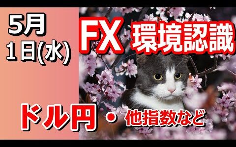 【TAKA FX】ドル円他各通貨の環境認識解説。各種指数、GOLDなど　5月1日(水)