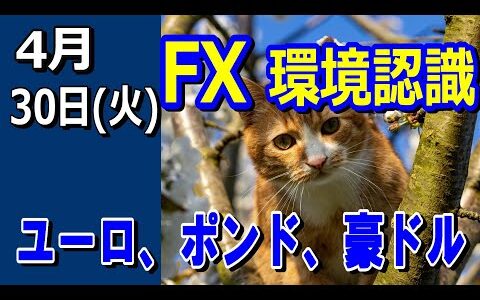 【TAKA FX】ドル、円、ユーロ、ポンド、豪ドルの環境認識解説。4月30日(火)