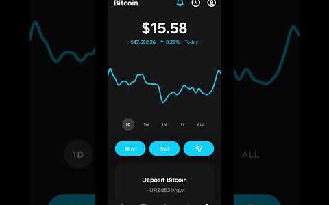 $1 per day into Bitcoin. 2022 strategy -