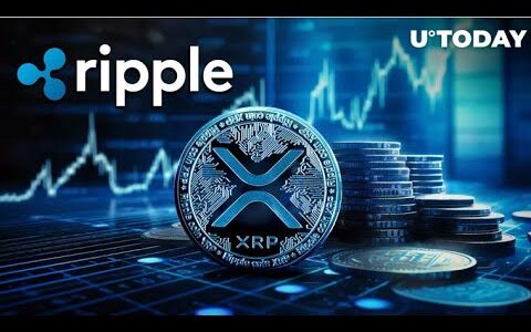 【リップル】XRPの最新レポートについて　リップルネットの進化版「Ripple Payments （リップルペイメント）」発表＃ビットコイン ＃リップル#金