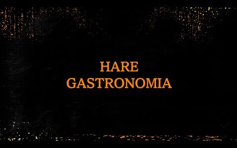 【Trendline】HaRe Gastronomia