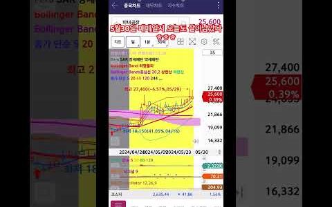 5월30일 매매일지 크어어어 오늘도 살아남았당