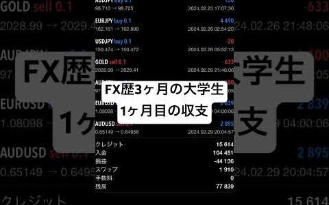 ただの大学生が投資(FX)始めてみた現実