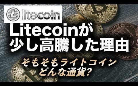 【Litecoin(ライトコイン)が少し高騰した理由】 LitePay