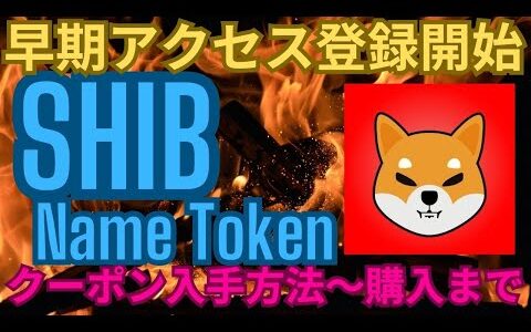 SHIB Name Token　早期アクセス登録開始　～SHIB Name Tokenとは？クーポン情報～購入方法まで解説～