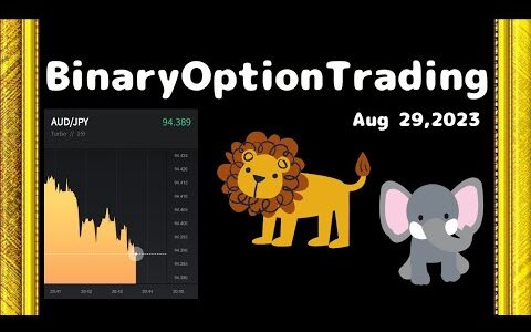 【Binary Option Trading】悩みに悩んだ結果….