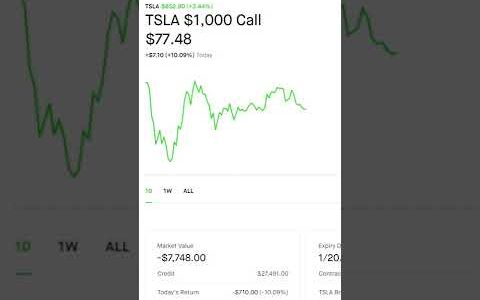 $20,000 OFF TESLA CALL OPTION