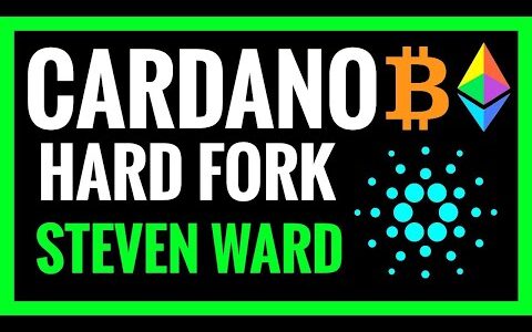 Cardano News Vasil Hard Fork Importance @SuperPolinesios  @VyFinance