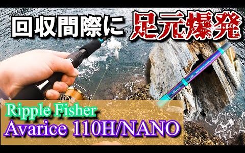 【Ripple Fisher】ヒラスズキ修行中！Avarice 110Hで荒磯の王者を仕留めたい！【大分県米水津