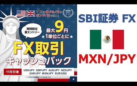 FXキャンペーン対象通貨ペア （メキシコペソ/円）