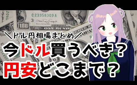 【為替相場】円安はどこまで続くのか、今ドルを買うべきか検討する動画【米ドル/円、USD/JPY、ドル転】-Dollar-yen exchange rate forecast.