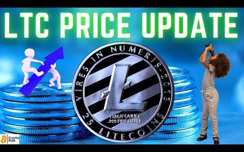 How High will Litecoin Price Rise this month?  LTC price update