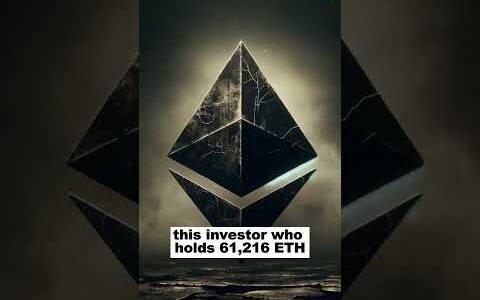 Ethereum ICO investor makes huge profit transacti