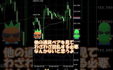 【FX】監視通貨ペアが多ければ勝てるは間違い！？　