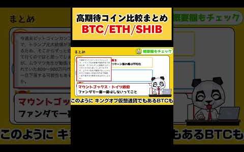 高期待コイン比較まとめ【BTC(ビットコイン)】【ETH(イーサリアム)】【SHIB（柴犬コイン）】