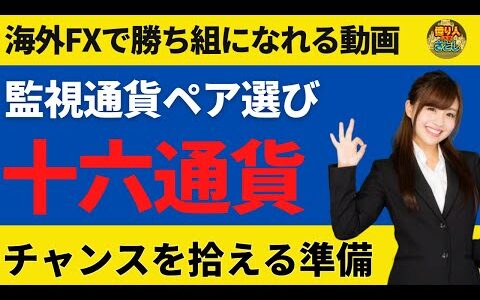 プロが監視する通貨ペアの数は？チャンスを逃さないためにおすすめ【投資家プロジェクト億り人さとし】