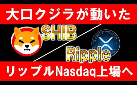 【SHIB】大口クジラが動いた！注目のシバイヌコイン【Ripple】リップルNasdaq上場へ！【仮想通貨】【草コイン】【Ripple】【プレセール】【リップル】【XRP】【億】