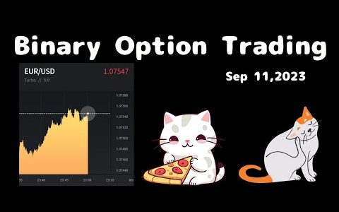 【Binary Option Trading】たまにはEUR/USDで