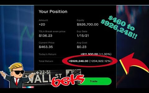 HE TURNED $460 INTO $926, 248 | TESLA CALL OPTIONS | wallstreetbets options trading