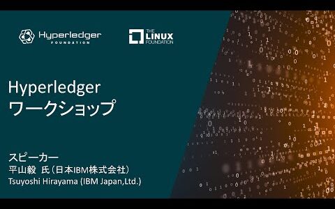 WebX 2023 Workshop 2-3: ブロックチェーン トークンオペラビリティ(Fab Token/BESUを中心に) –  日本IBM株式会社 平山毅 氏