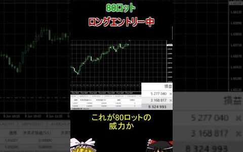 FXトレードで930万円稼いだ瞬間