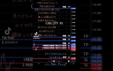 FX 先出し予想 カナダ円ロング     trading