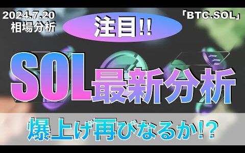 【BTC、SOL】ソラナ最新分析‼︎爆上げ再びなるか⁉︎（2024年7月20日相場分析）