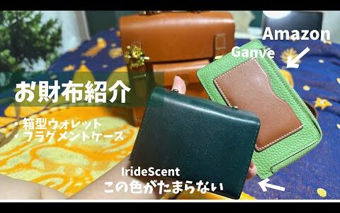 お財布紹介　Amazonで購入したIrideScent箱型ウォレットとフラグメントケース