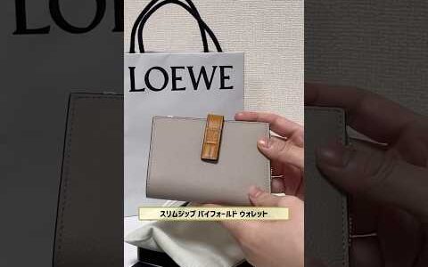 【LOEWE】 新作ウォレット購入　