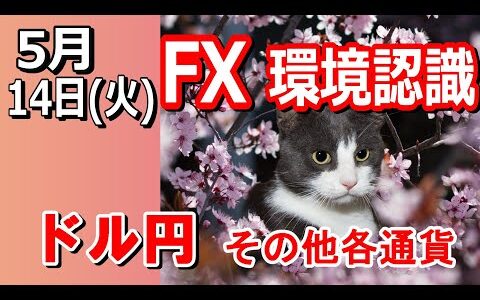 【TAKA FX】ドル円他各通貨の環境認識解説。各種指数、GOLDなど　5月14日(火)