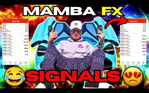 I tried signals by MAMBA FX (Expensive?)