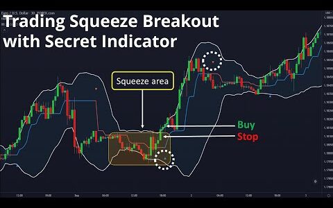 Squeeze breakout trading strategy with extreme secret indicators （極秘のブレイクアウト戦略）