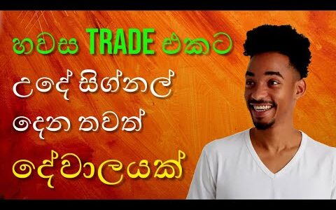 Binary Options Signal Group / හවස trade එකට උදේ සිග්නල් දෙන තවත් දේවාලයක් / fx sam / 2022