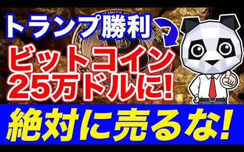 【ビットコイン高騰】『2024年11月5日(火曜日)』←仮想通貨買わなきゃOUT！【大統領選挙】【BTC】