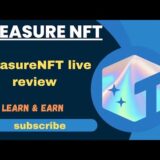 TreasureNFT live review.