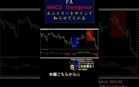 エントリーのタイミングをサインで知らせてくれる！
