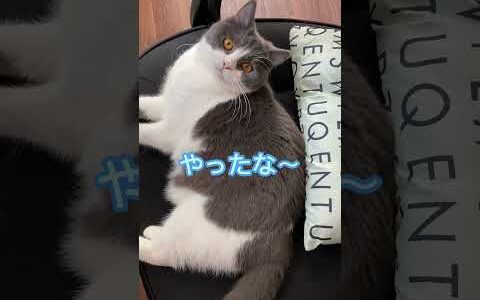 ポジション争いの行く末は・・・The battle for position will end with…